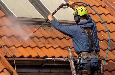 Démoussage et hydrofuge de toiture à Silvareccio